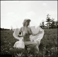 Egy sokat látott kamera néma meséi; különböző időpontokban, többek közreműködésével  készült felvéte...