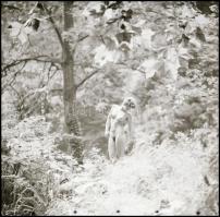 Fotómodellek talija egy tételben; különböző időpontokban, többek közreműködésével  készült felvétele...