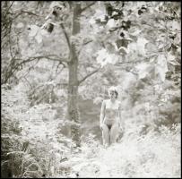 Fotómodellek talija egy tételben; különböző időpontokban, többek közreműködésével  készült felvétele...