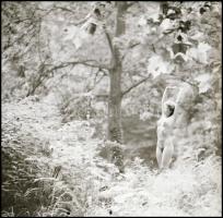 Fotómodellek talija egy tételben; különböző időpontokban, többek közreműködésével  készült felvétele...