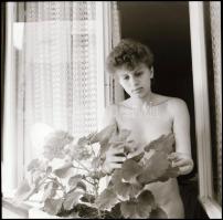 cca 1983 A kiskertet ápolni és öntözni kell, 3 db vintage NEGATÍV Menesdorfer Lajos (1941-2005) buda...