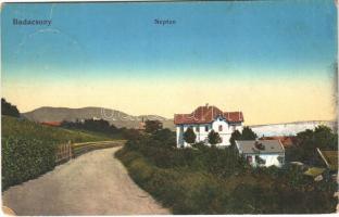 1913 Badacsony, Neptun szálló (EK)