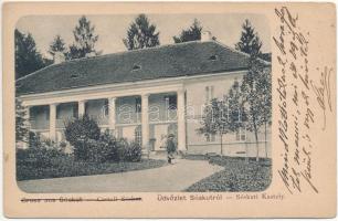 1903 Sóskútfalu, Sulz im Burgenland; Castell / Sóskúti kastély / castle (EK)
