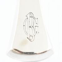 Ezüst (Ag) evőeszköz készlet.12 személyes, sok részes. komplett, díszdobozzal, üvegbetétes fűszertar...