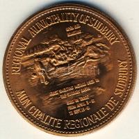 USA 1981. 2$ "Sudburg Token" T:1