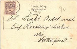 1901 Kamanc, Kamenitz, Sremska Kamenice (Újvidék, Novi Sad); K.u.K. Infanterie-Cadettenschule, Kaste...