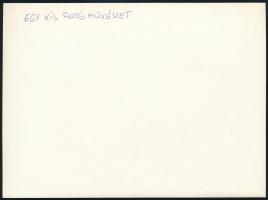 cca 1973 Dr. Sevcsik Jenő (1899-1996) fényképész, szaktanár és szakíró hagyatékából 1 db jelzés nélk...