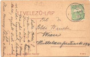 Temesvár, Timisoara; Polgári és felsőkereskedelmi iskola, katonák. W.L. Bp. 2041. Gerő Manó kiadása ...