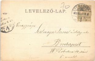 1906 Temesvár, Timisoara; Gyárváros, Béga részlet. Uhrmann Henrik / Fabrica, riverside. photo