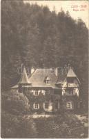 1915 Lublófüred, Lubló-fürdő, Kúpele Lubovna (Ólubló, Stará Lubovna); Magán villa / private villa (EK)