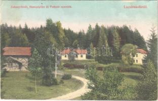 1911 Lucsivna, Lautschburg, Lucivná (Magas-Tátra, Vysoké Tatry); Zuhany-fürdő, Hamupipőke és Fortuna nyaralók / spa, bath, villas (EK)