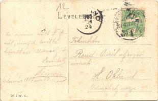 1907 Kolozsvár, Cluj; Nemzeti színház. W.L. 36-1. / theatre  (EK)