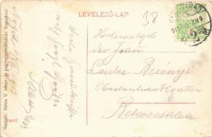 1913 Nagyvárad, Oradea; Corso kert. W.L. Bp. 276. / park promenade (EK)