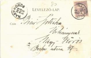 1901 Léva, Levice; Főgimnázium, látkép, vár. Nyitrai és Társa kiadása / grammar school, general view...