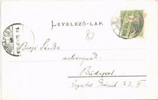 1905 Léva, Levice; Katolikus kör. Nyitrai és Társa kiadása / Catholic society's house