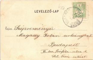 Budapest XXII. Budafok, Törley kastély északról nézve (fl)