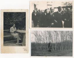 41 db RÉGI családi fotó képeslap vegyes minőségben / 41 pre-1945 family photo postcards in mixed qua...