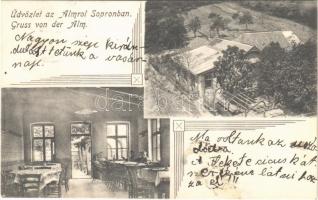 1907 Sopron, Üdvözlet az Almról, vendéglő, étterem, belső, kert (Rb)