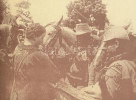 Kiállítás az I. világháborúról az Országos Széchenyi Könyvtárban füzet, jó állapotban