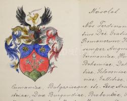 1917 A Trencsén vármegyei Bánovszky-család nemeslevélnek hiteles másolata, a címer reprodukciójával ...