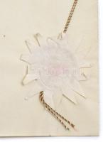 1917 A Trencsén vármegyei Bánovszky-család nemeslevélnek hiteles másolata, a címer reprodukciójával ...