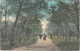 1912 Balatonkenese, sétány a part felé (EK)
