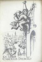 Sterbenz Károly (1901-1993): Ex libris Carolus Diebold.  Hidegtű, papír. Jelzett a dúcon. Üvegezett, sérült fa keretben. 16,5x10,5 cm