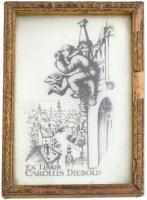 Sterbenz Károly (1901-1993): Ex libris Carolus Diebold.   Hidegtű, papír. Jelzett a dúcon. Üvegezett...