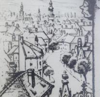 Sterbenz Károly (1901-1993): Ex libris Carolus Diebold.   Hidegtű, papír. Jelzett a dúcon. Üvegezett...