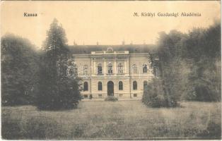 1913 Kassa, Kosice; M. kir. Gazdasági Akadémia / academy of economics (EK)