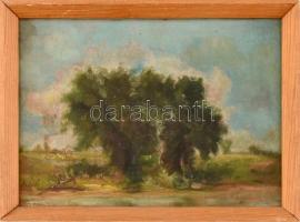 Szécsi András (1934-1991): Táj. Olaj, karton, jelzett, fa keretben, 25×32,5 cm