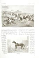 1913. július, Századok Legendái, A lovas sport, 40p