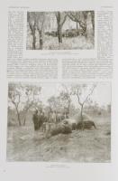 1913. szeptember, Századok Legendái, A vadászat, 40p