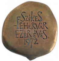 Csíkszentmihályi Róbert (1940-) 1972. "Székesfehérvár ezer éves 1972" kétoldalas Br plaket...