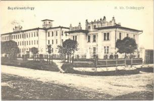 1917 Sepsiszentgyörgy, Sfantu Gheorghe; M. kir. dohánygyár. Benkő Mór kiadása / tobacco factory (EK)