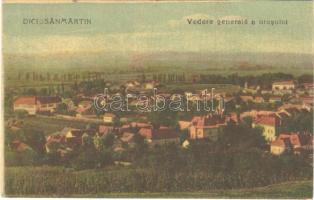 1930 Dicsőszentmárton, Tarnaveni, Diciosanmartin; Vedere generala a orasului / látkép / general view (
