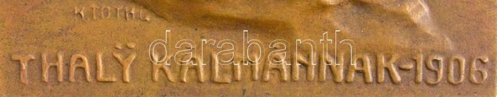 Tóth Gyula (1893-1970) DN "A Magyar Történelmi Társulat Thaly Kálmánnak - 1906" egyoldalas...