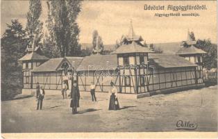 1910 Feredőgyógy, Fürdőgyógy, Algyógyfürdő, Geoagiu-Bai, Feredeu (Algyógy, Geoagiu); uszoda. Adler fényirda / swimming pool, bath (fl)