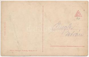 Dunai "g" őrnaszád (monitor) Pétervárad előtt (Újvidék). Dunaflottilla / K.u.K. Kriegsmari...