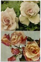 5 db MODERN Colorvox hanglemez képeslap: Budapest, Keszthely, virágok, újév / 5 modern Colorvox reco...