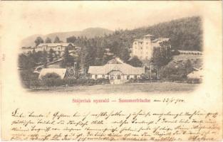 1900 Stájerlak, Steierdorf, Kirscha; nyaraló / Sommerfrische / villas