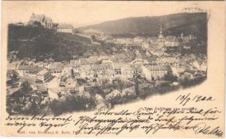 1900 Segesvár, Schässburg, Sighisoara; Vom Galtberg aus gesehen