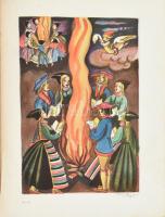 Selma Lagerlöf: Csodálatos utazás. (Nils Holgersson.) Ford.: Kállay Miklós. Róna Emy rajzaival. Bp.,...