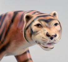 Porcelán Royal Dux tigris, kézzel festett, halvány, kopott jelzéssel, kopással, 8,5x20 cm