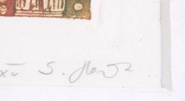 S. Horváth Ildikó (1969-): Színház virágnak. Színes rézkarc, papír. Jelzett, művészpéldány EA XII/XX...