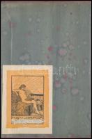 Hunfalvy Pál: A székelyek. Felelet a székelyek scytha-hun eredetűségére. Bp., 1880, Franklin, 79 p. ...