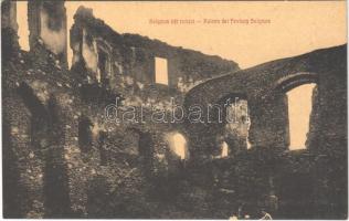 Lippa, Lipova; Solymosi várrom. W.L. (?) 3017. Krivány György kiadása / Cetatea Soimos / castle ruin