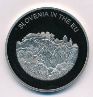Máltai Lovagrend 2004. 100L Cu-Ni Szlovénia az EU-ban T:PP Sovereign Order of Malta 2004. 100 Liras Cu-Ni Slovenia in the EU C:PP