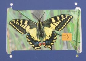 Lepkék telefonkártya sorozat, 5 db, illusztrált berakóban és tokban, jó állapotban