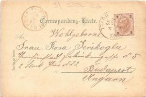 1894 (Vorläufer!!!) Semmering, Südbahn-Hotels auf dem Semmering. Druck v. Louis Glaser. Art Nouveau,...